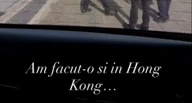 Galerie foto - poza 3