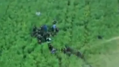 VIDEO Imagini cu momentul capturării suspectului în crima din Bihor: Bărbatul era ascuns într-un lan de rapiță