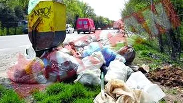Munti de gunoaie pe DN1, la Ciolpani