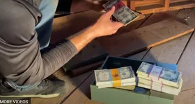 Galerie foto - poza 4