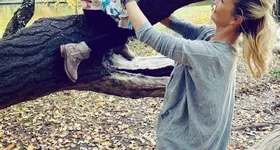 Galerie foto - poza 2