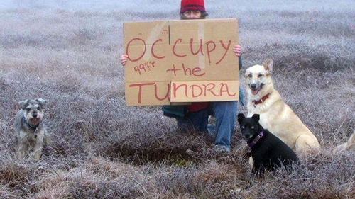 Miscarea "Ocupati Wall Street" a ajuns si in Alaska. O femeie a protestat singura