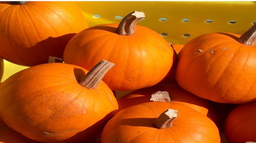 "Ce se vede acolo?" Angajatii aeroportului au INCREMENIT cand au vazut ce era in dovlecii cumparati de o femeie pentru Halloween