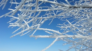 Prognoza meteo 2 februarie: Vreme frumoasă şi maxime de 12 grade Celsius