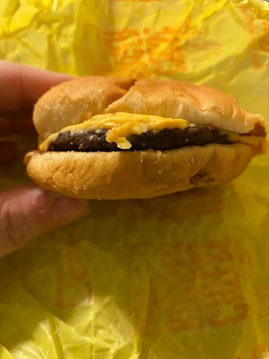 Așa arată un cheesburger de la McDonalds după 5 ani Sursă foto: Kennedy News
