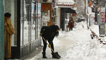 Lopata - 50 de lei Geaca groasa de iarna - 700 de lei! Andreea Mantea in blugi stramti, deszapezind aplecata - de nepretuit