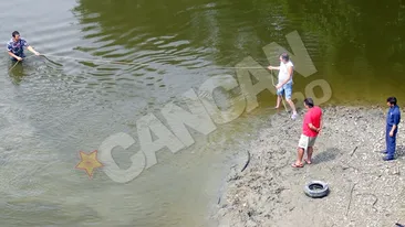 Tanar de 14 ani inghitit de apele Muresului, la Arad