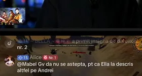 Galerie foto - poza 2