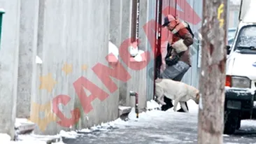 Labradorul i-a stricat buna dispozitie Loredanei