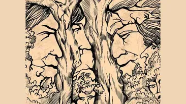 Iluzie optică virală | Câte chipuri sunt în această imagine? Doar geniile le văd pe toate