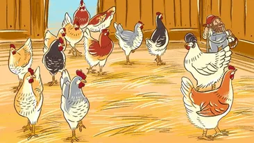 Test de inteligență | În această imagine s-au strecurat 4 greșeli. Doar un geniu le poate identifica pe toate