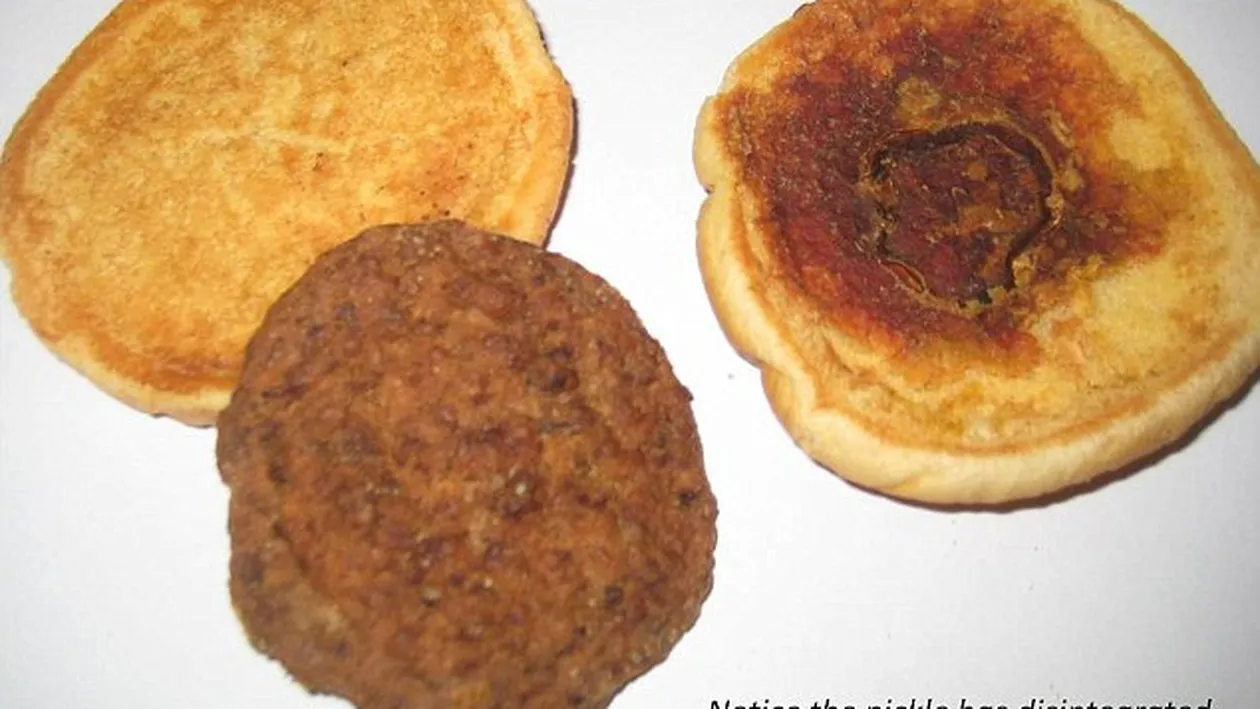 Experimentul care te va face să te gândeşti de două ori la ce mănânci! Cum arată un hamburger cumpărat in anul 1999