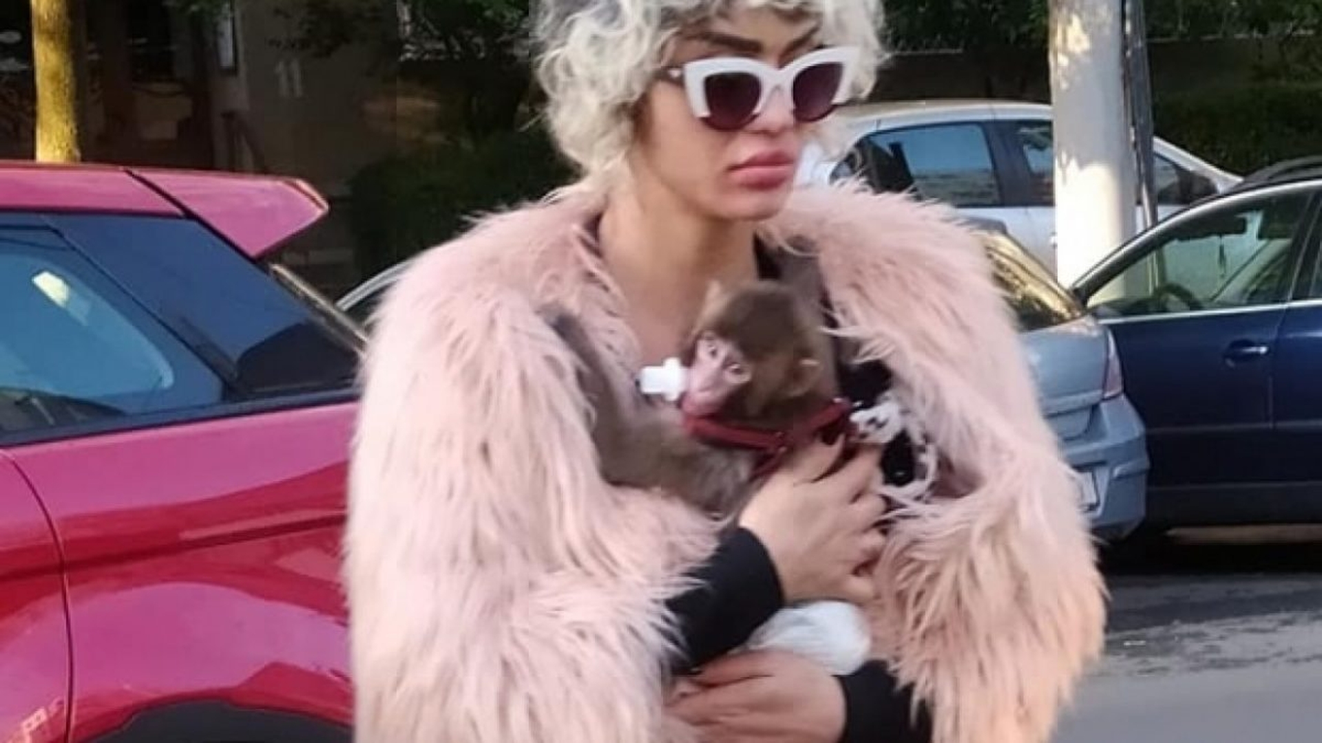 Emoții mari pentru Margherita de la Clejani! Cântăreața va da nas în nas, în fața instanței, cu cel care a atacat-o pe stradă