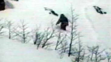 Unul dintre cele mai vechi mistere ale omenirii a fost elucidat! Uite ce este de fapt LEGENDARA CREATURA