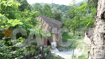 Asa arata casa “renovata” pe banii lui Gigi Becali! “Du o spoiala, fac si eu ce pot! Sper ca Ionut…”