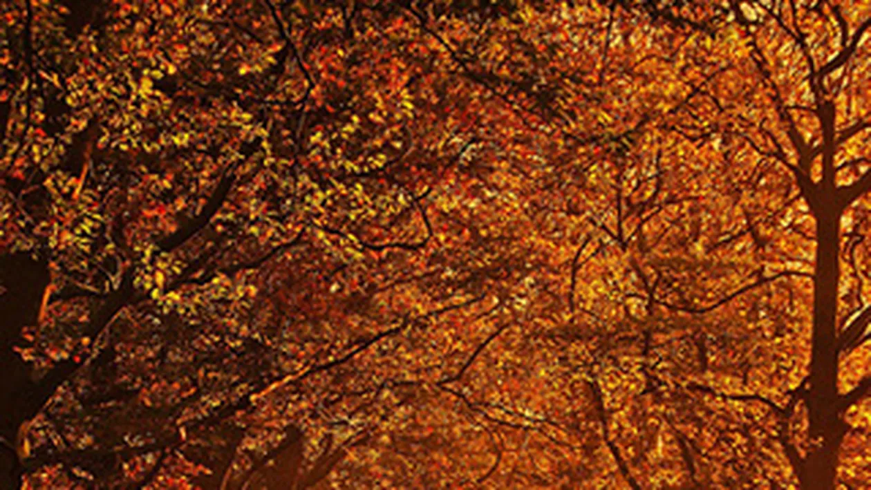 Profitati de ultimele zile calduroase! Afla aici de cand se va raci vremea si ce temperaturi se vor atinge