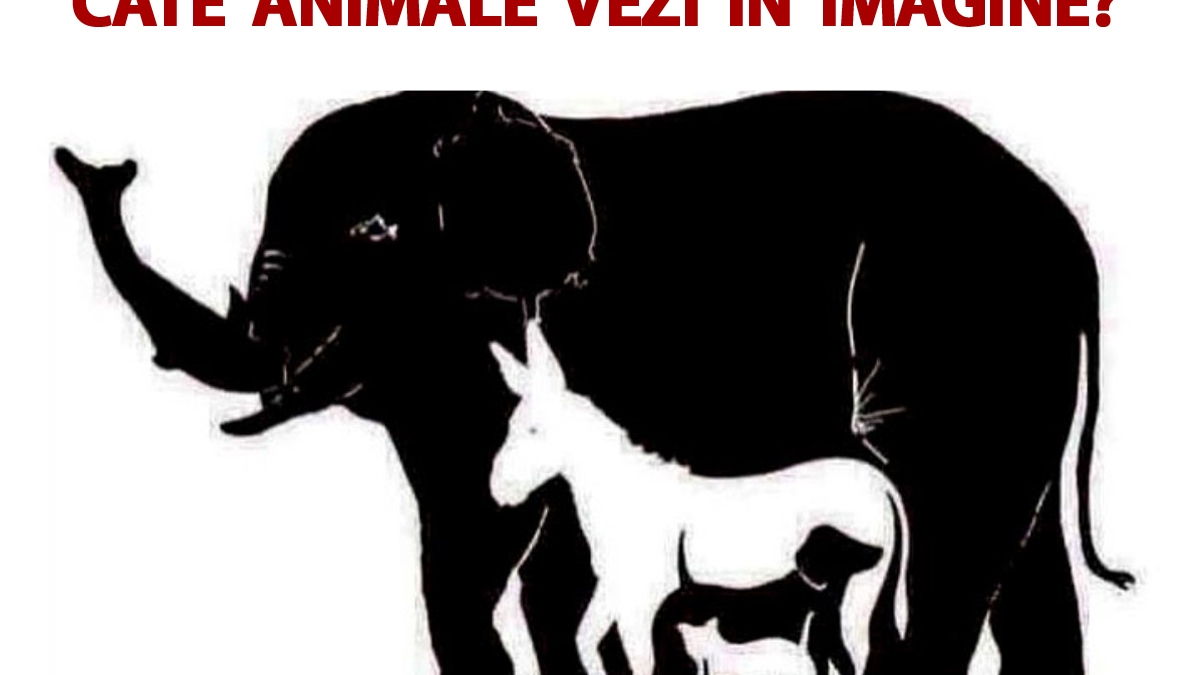 Testul IQ care îți spune cât de deștept ești: Câte animale vezi în imagine?!