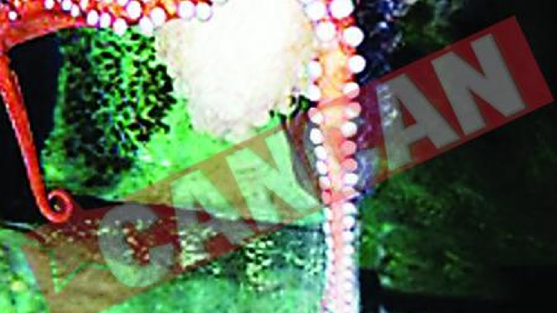 Caracatita indragostita de un cartof