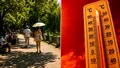 Val de căldură extremă și nopți tropicale în toată România. ANM emite noi coduri de caniculă. Unde vor fi 40 de grade