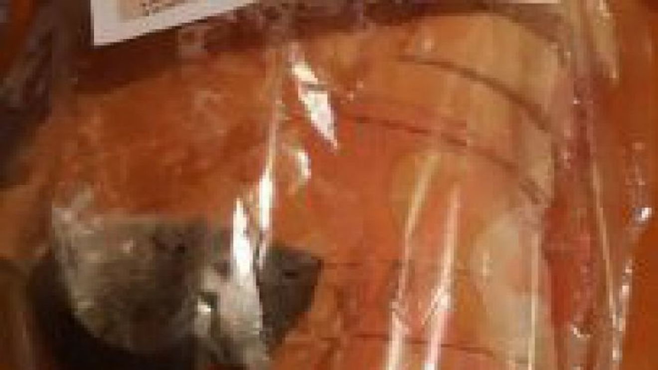 ȘOCANT. Un șoarece mort, descoperit într-o pungă cu pâine