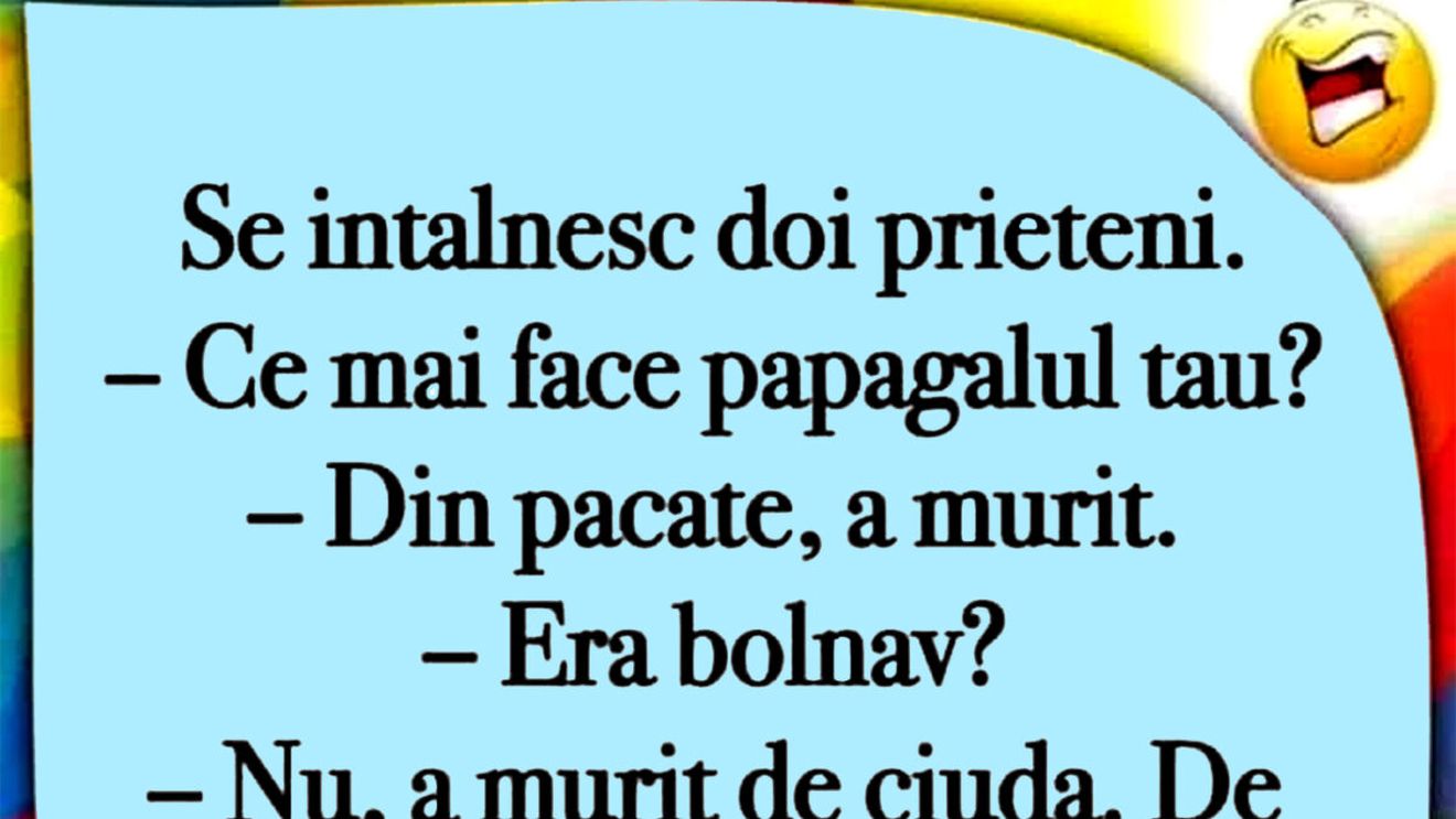 BANC | "Ce mai face papagalul tău?"