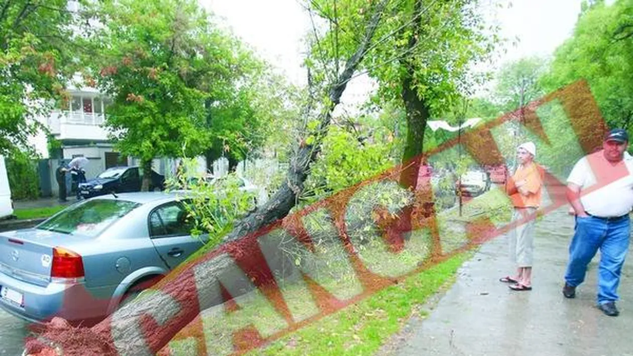 Vantul puternic a facut ravagii In Capitala