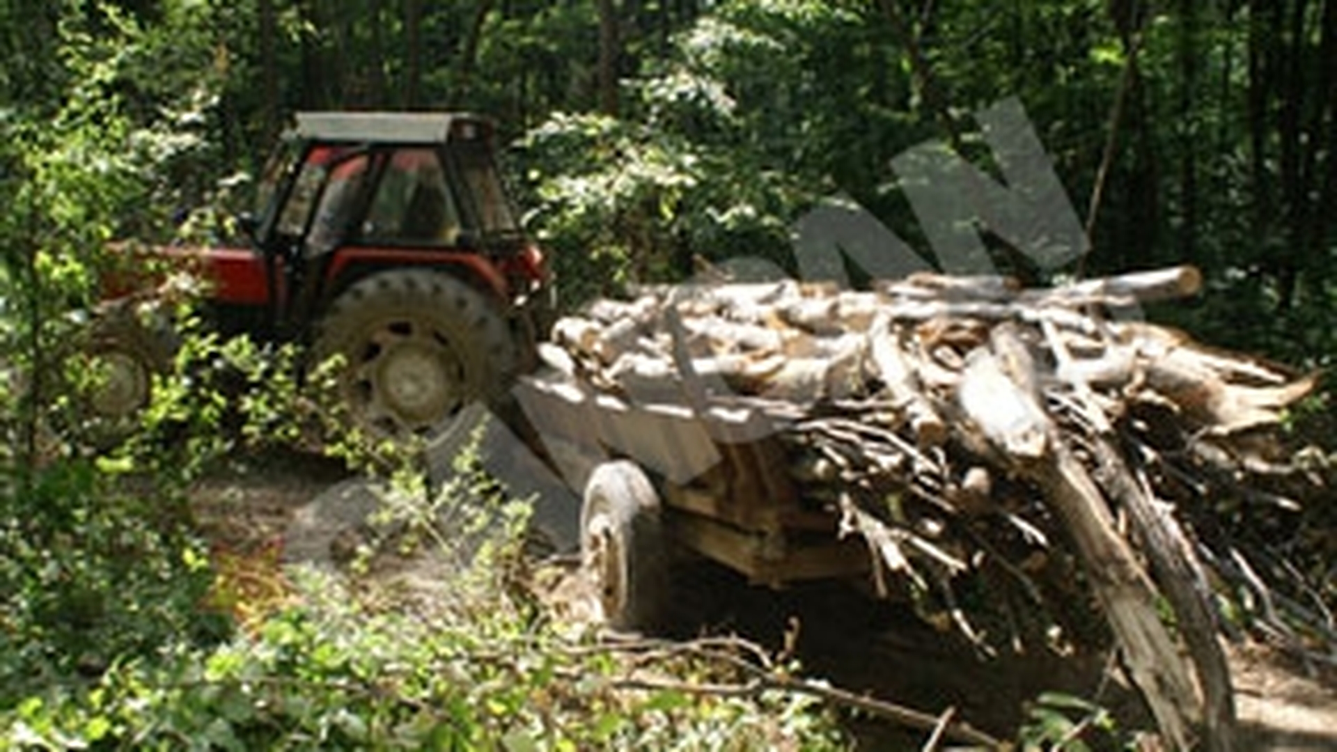 Si-a ucis tatal cu rotile de la remorca tractorului