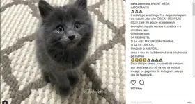 Galerie foto - poza 1