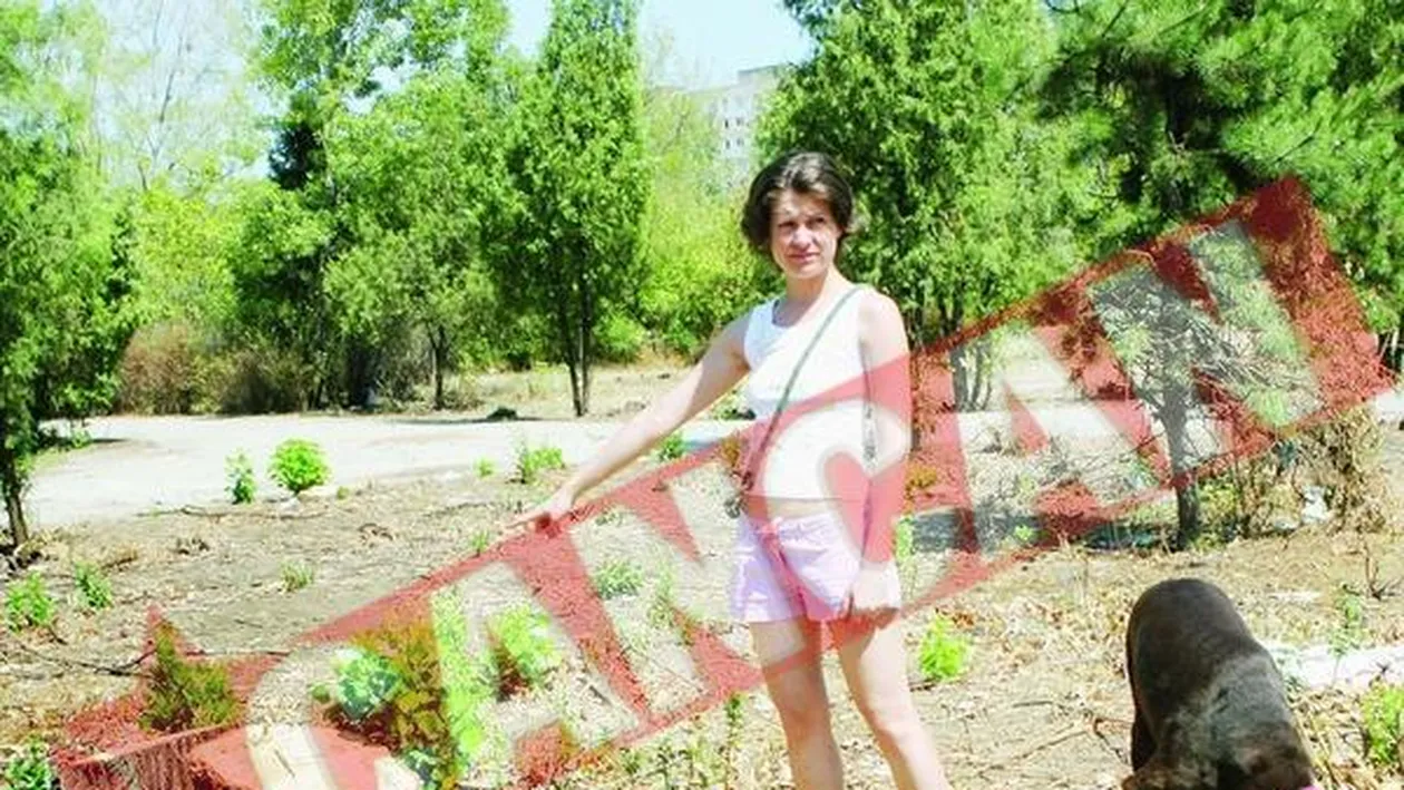 Copaci taiati pentru constructia de vile