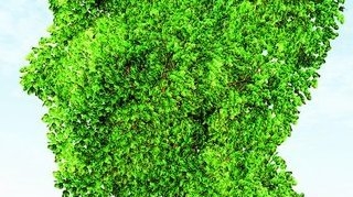 Viata secreta a plantelor