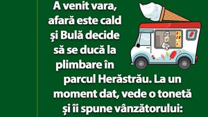 BANC | Bulă se duce în Herăstrău: "2 înghețate, vă rog!"