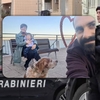 Filmul tragediei în care Luca și Valentina au provocat decesul fiicei de 5 ani. Ce au descoperit autoritățile în urma autopsiilor