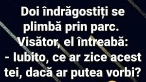 BANC | "Iubito, ce ar zice acest tei dacă ar putea vorbi?"