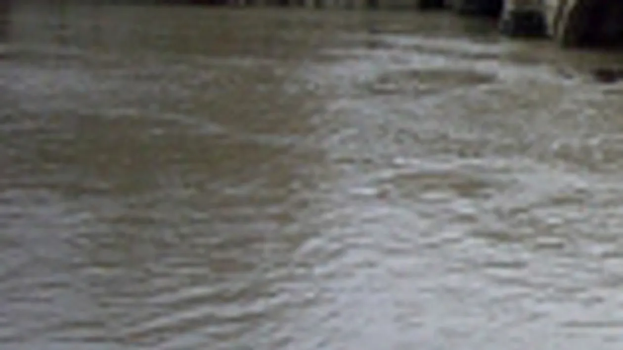 Peste 50 de locuinte si gospodarii, inundate in urma ploilor torentiale din judetul Vaslui