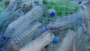 Nu e banc! Câți lei câștigi, lunar, dacă duci sticlele goale și dozele de aluminiu la punctele de reciclare
