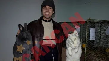 Asa arata iepurii campioni!