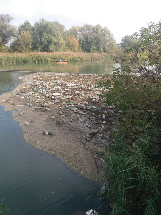 Voluntarii își propun să nu lase niciun pet să ajungă în Dunăre