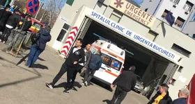 Galerie foto - poza 3