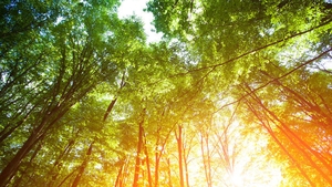 METEO 31 AUGUST! Ce temperaturi se înregistrează în ultima zi din august