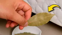 Ce se întâmplă dacă pui o frunză de dafin sub pernă, înainte să te culci