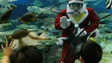 Mosul a intrat la apa