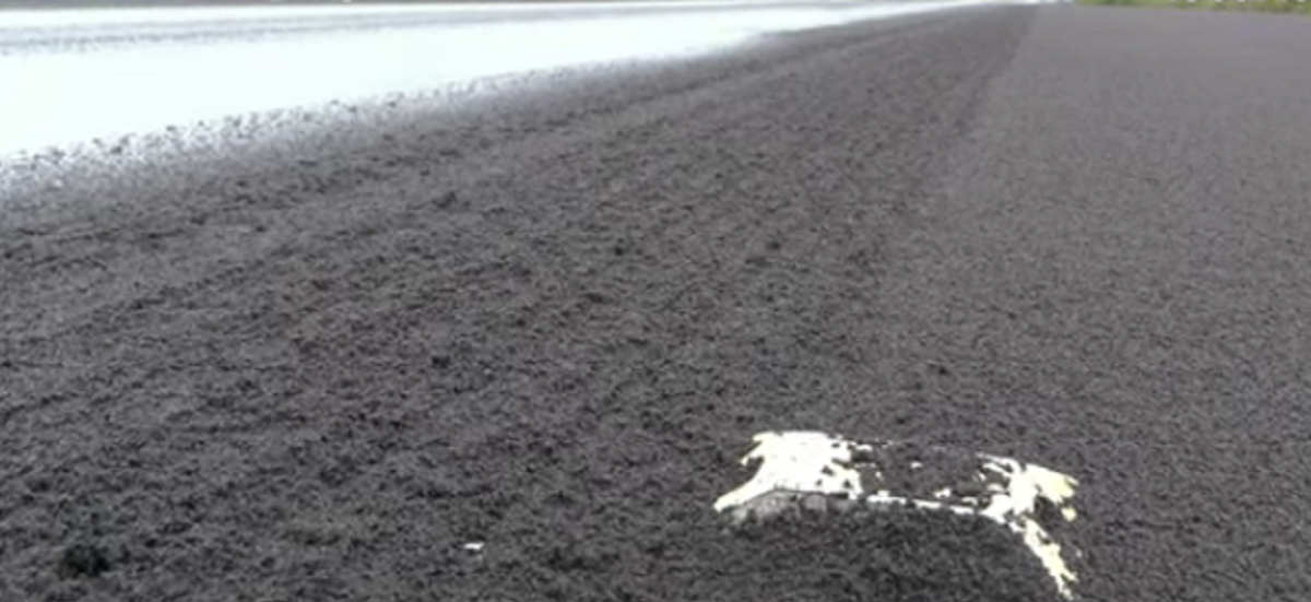 A erupt vulcanul Etna. Ploaie de cenușă în Italia, cum arată mașinile oamenilor