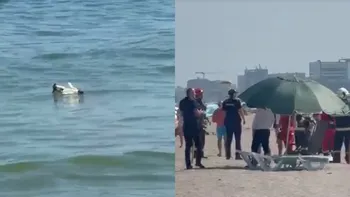 Alertă în Mamaia! Noi rămășite de dronă, descoperite pe plajă