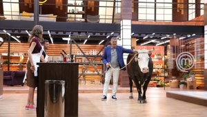 CNA a amendat Pro TV cu 10.000 de lei! Motivul: o vacă în platoul emisiunii MasterChef