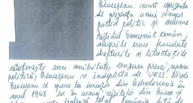 Galerie foto - poza 4