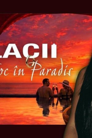 Cine este Eda Csoregi de la Burlacii: Foc în Paradis. La ce emisiune ai mai văzut-o înainte? „Am acceptat”