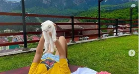 Galerie foto - poza 3