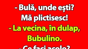 Bancul de vineri | "Bulă, unde ești? Mă plictisesc!"