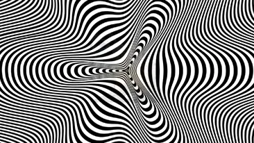 Iluzia optică a zilei | Un animal se ascunde în această imagine! Ai 10 secunde să îl descoperi