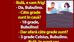 BANC | "Bulă, e cam frig. Câte grade sunt în casă?"